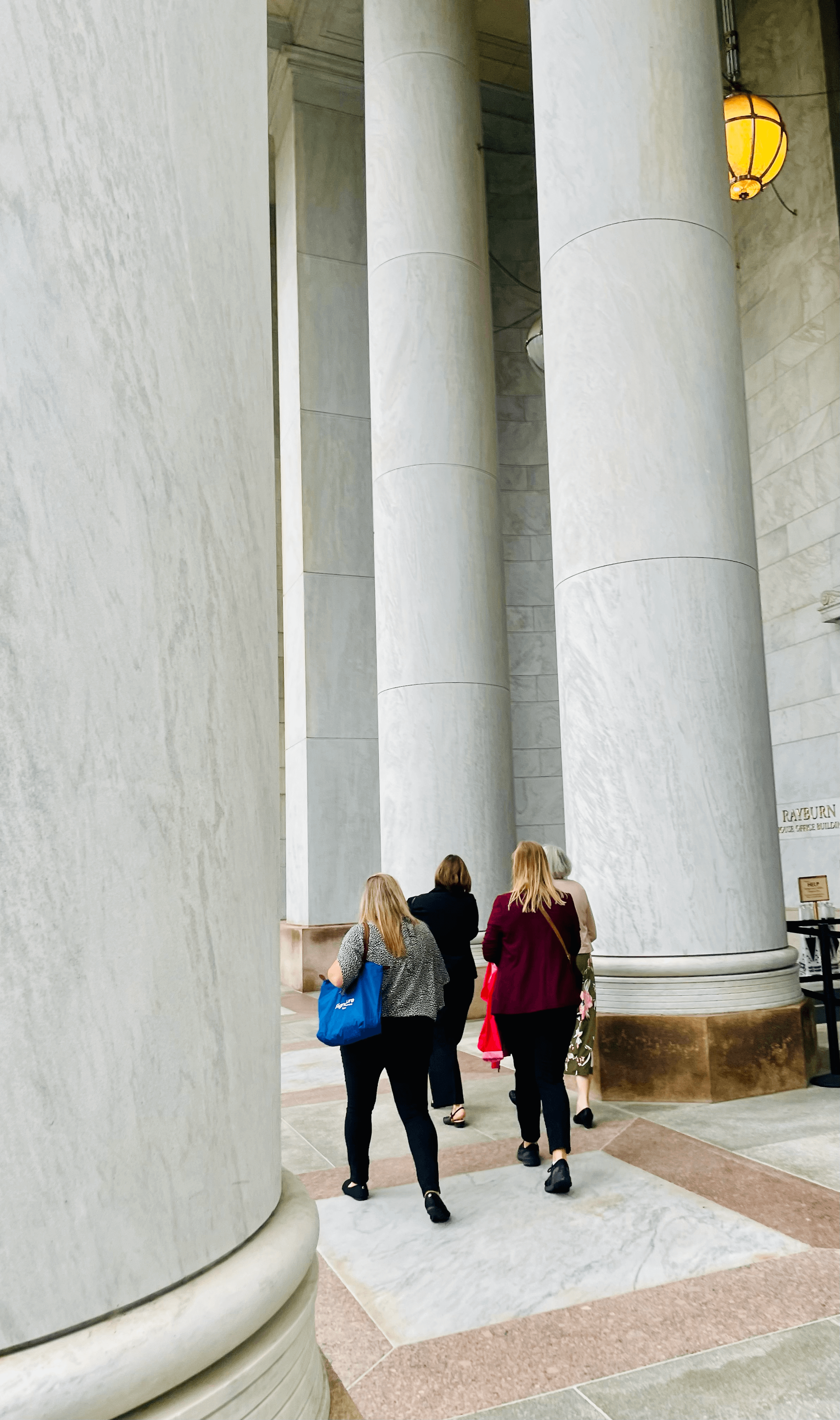 Image of travel advisor advocates walking into the Senate Building
