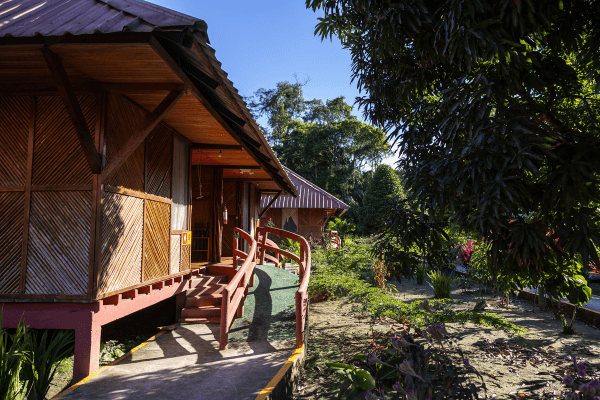 Wooden eco-lodge cabin with diagonal siding, pink trim, and curved ramp entrance, surrounded by tropical garden landscaping under bright sunlight