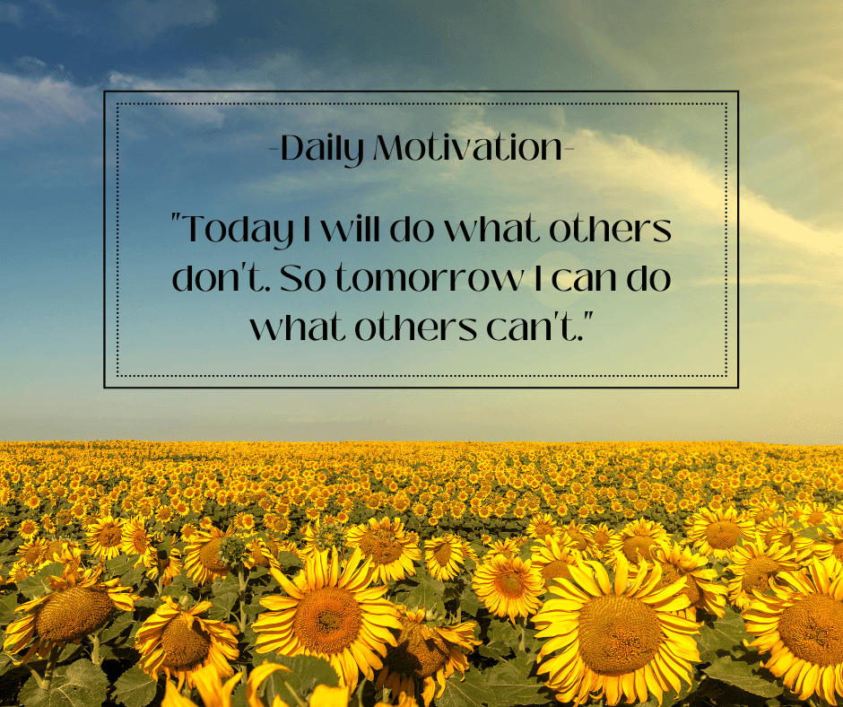 Daily motivation written in serif font above sunflowers