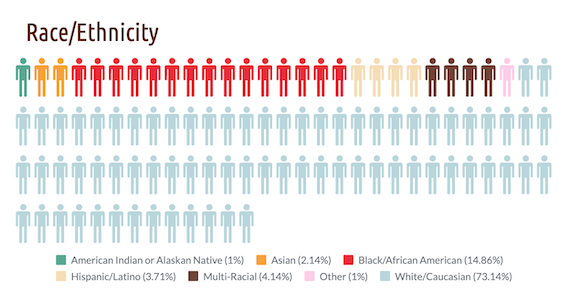 2017 Hosted Agents Demographics: Race/Ethnicity