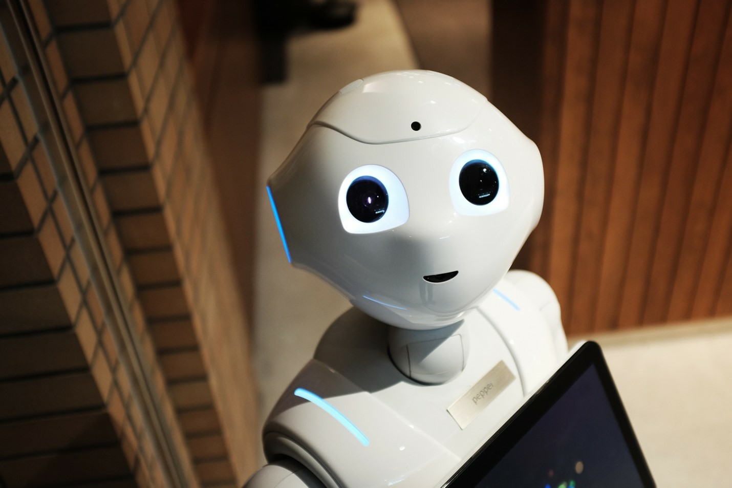 TA Robot