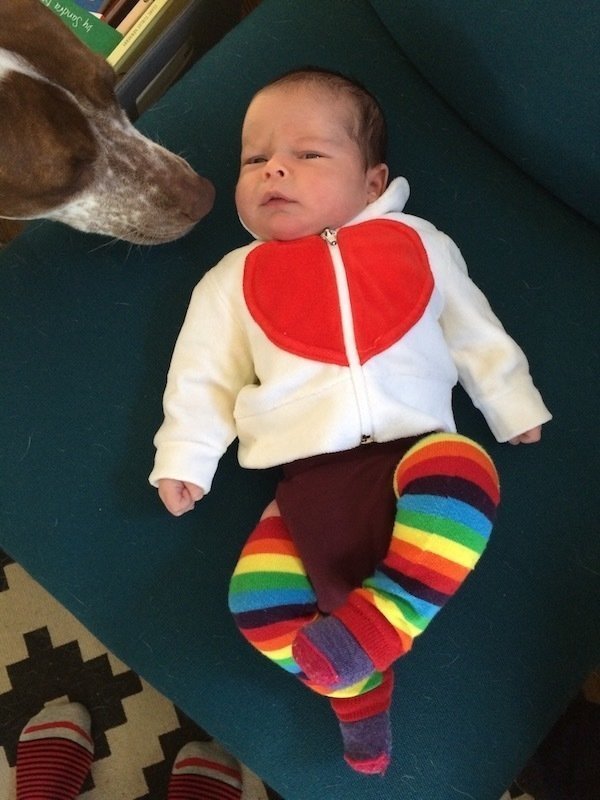 Cutest baby heart hoody