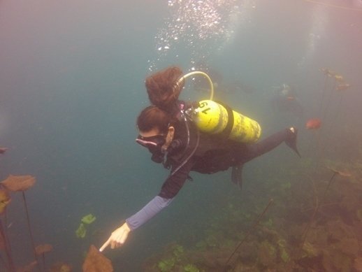 scuba in laguna de la media luna
