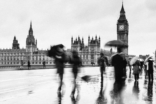 Top 6 Places to Find Free Images for Your Website